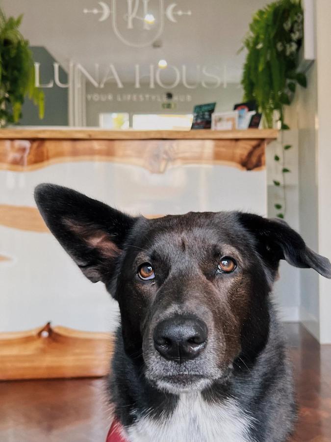 Luna House & Cowork Кашкайш Екстер'єр фото